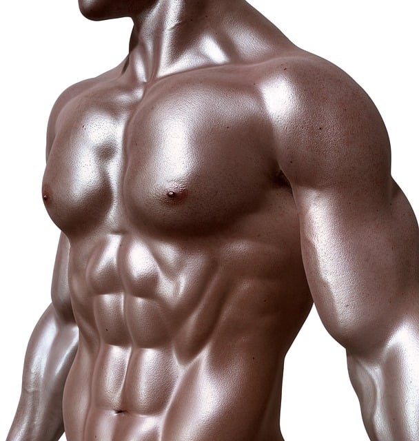 Unveiling the Sculpted Core: A Comprehensive Guide to Achieving a Bodybuilder’s Six-Pack